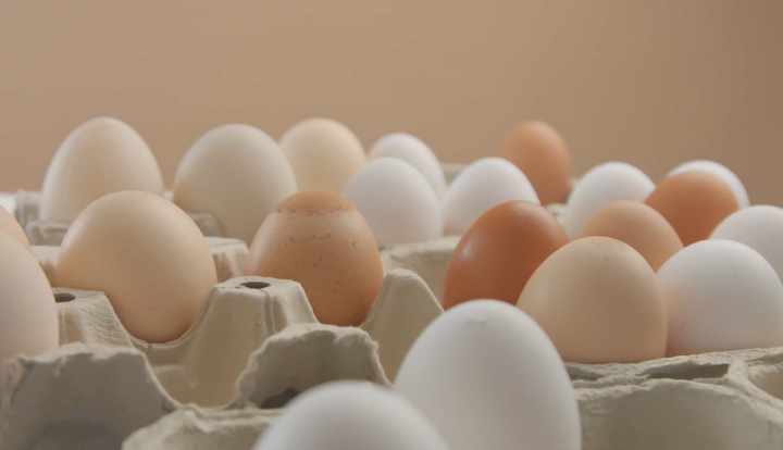 Worden eieren beschouwd als een zuivelproduct?
