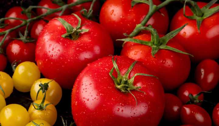Jsou rajčata vhodná pro keto?
