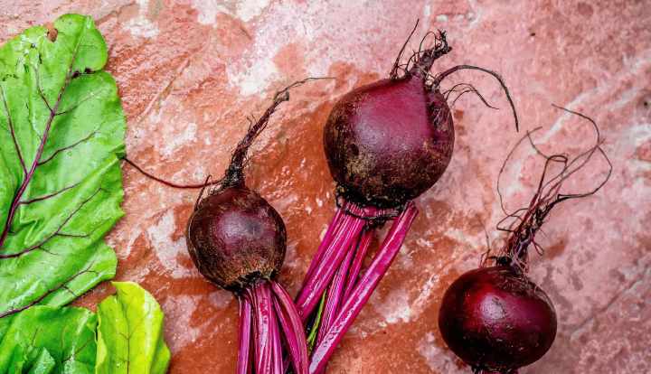 Beetroot: Nutrition facts and health benefits