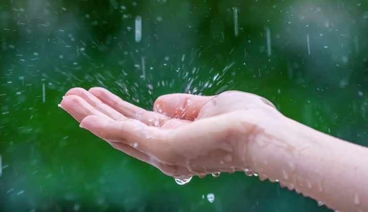 Kun je regenwater drinken, en moet je dat ook doen?