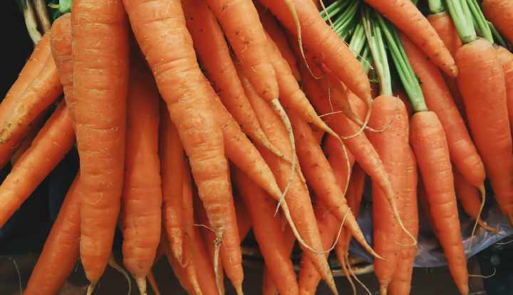 Carrots: Nutrition facts and health benefits