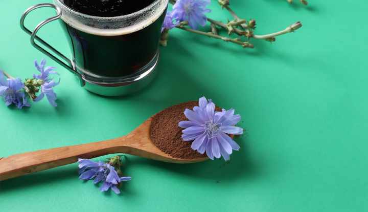 Chicory coffee: A healthy alternative to coffee?