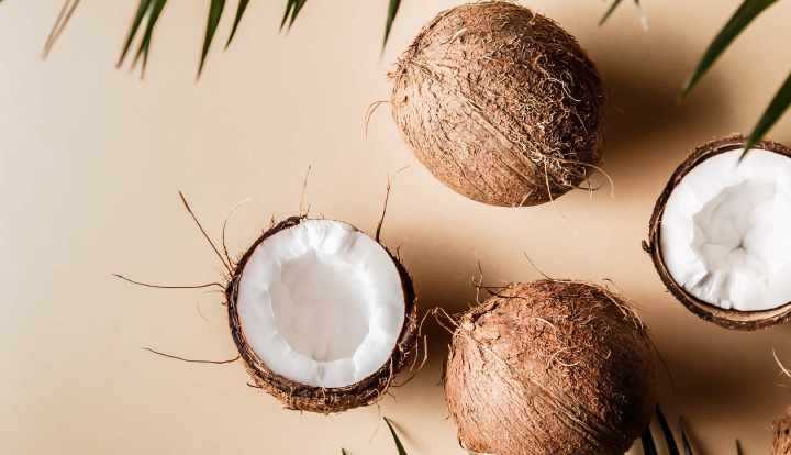 Coconut meat: Nutrition, benefits, and downsides