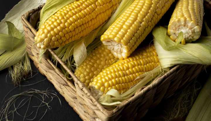 Maissitärkkelys vs. maissijauho