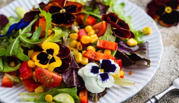 11 edible flowers with potential health benefits