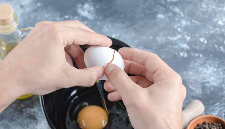 Výživa vaječných bílků