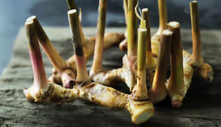 Galangal root: Health benefits, risks, and overview