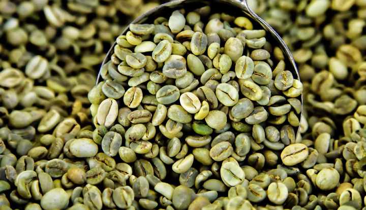 El café verde: Beneficios, pérdida de peso y efectos secundarios