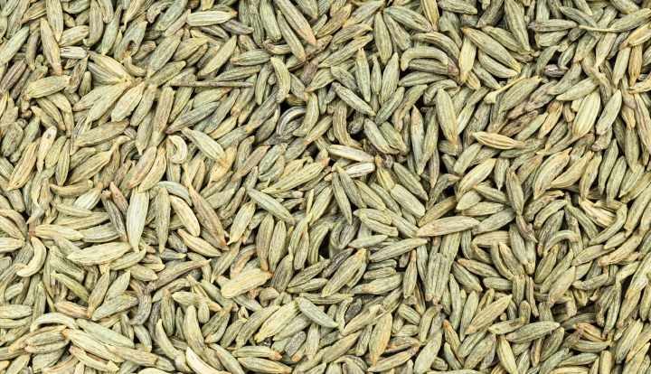 7 health benefits and uses of anise seed