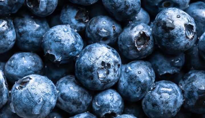10 proven health benefits of blueberries