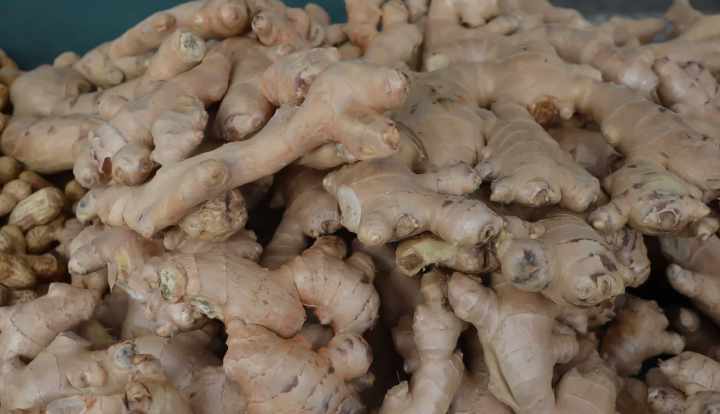 11 health benefits of ginger: Effect on nausea, the brain & more