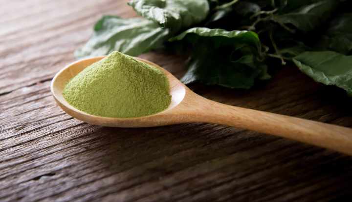Manfaat kesehatan dari ekstrak teh hijau