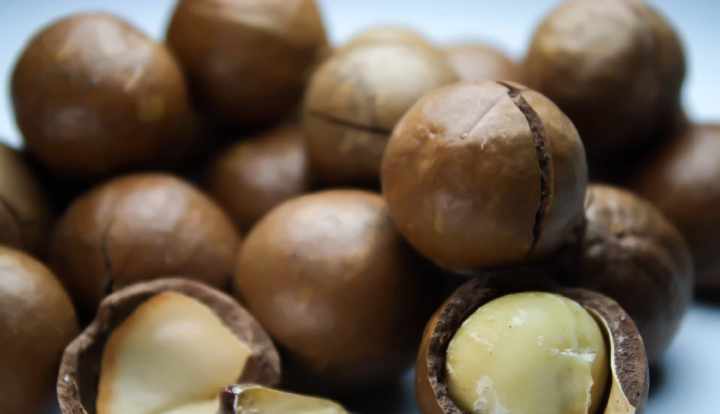 Health benefits of macadamia nuts