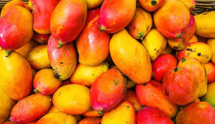 Health benefits of mango