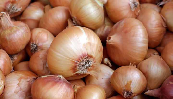 9 evidence-based health benefits of onion