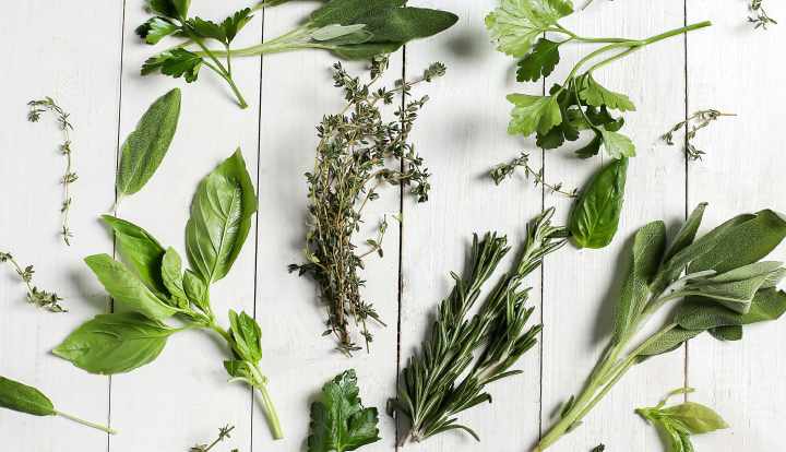 Herbs to lower blood pressure