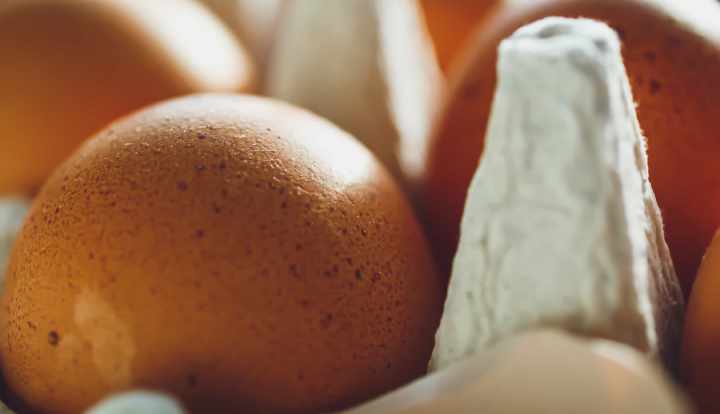 Hvor længe holder æg, før de bliver dårlige?