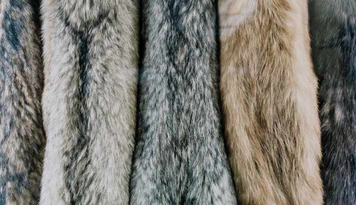How to wash faux fur