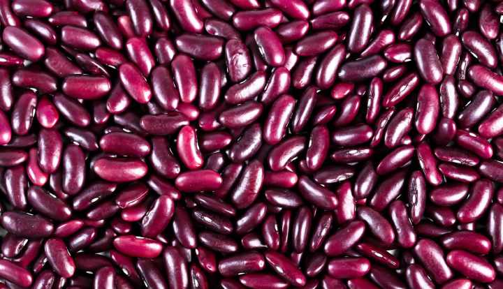 Kidney beans: Nutrition, benefits, weight loss, and downsides