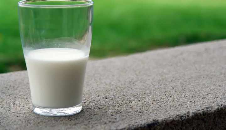 Laktosfri mjölk