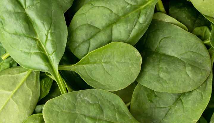 The 13 healthiest leafy green vegetables