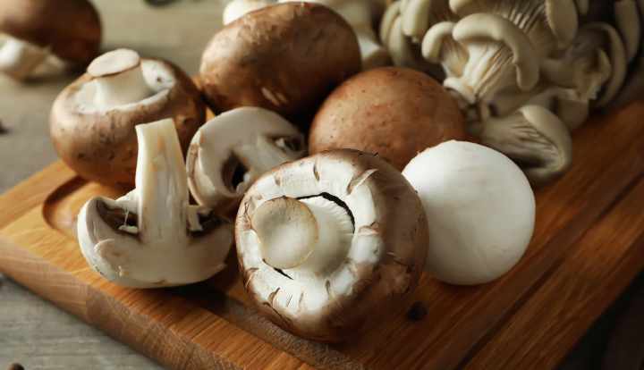 Mushrooms in pregnancy