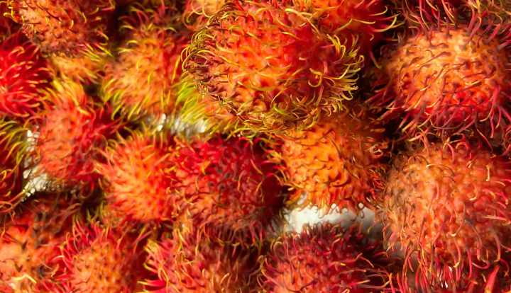 Rambutan fruit: Nutrition, health benefits and how to eat it