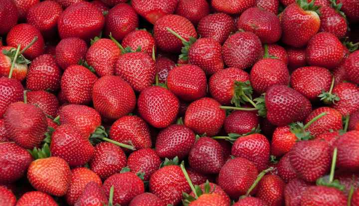 Strawberries: Nutrition facts and health benefits