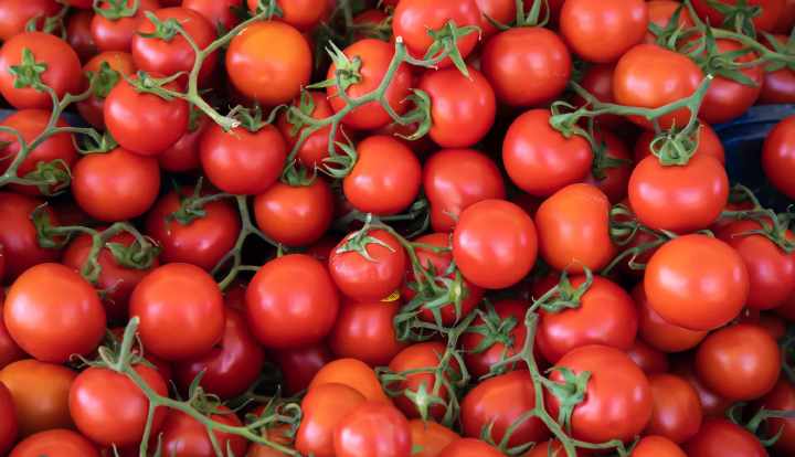 Tomatoes: Nutrition facts and health benefits