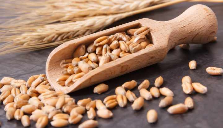 Wheat: Nutrition, benefits, downsides, and more
