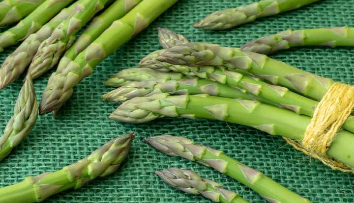 Why does asparagus make your pee smell?