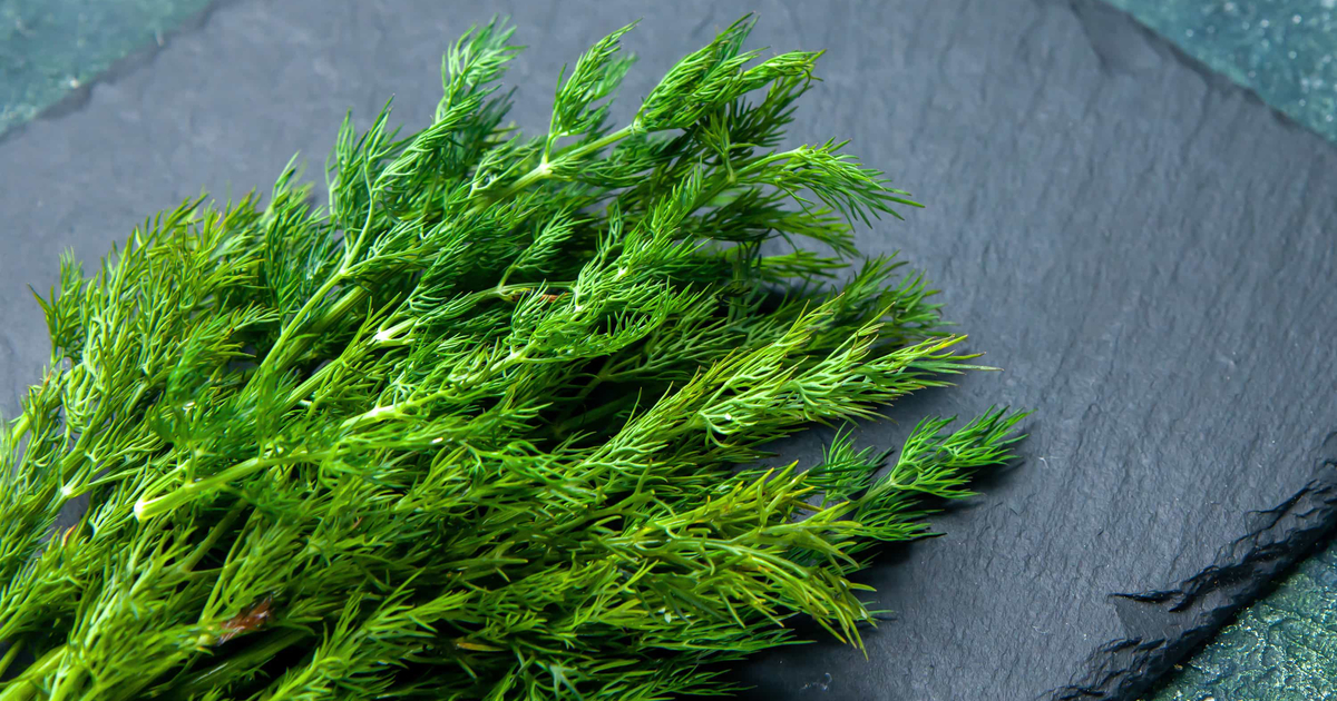 Dill Nutrition, benefits, side effects, and more