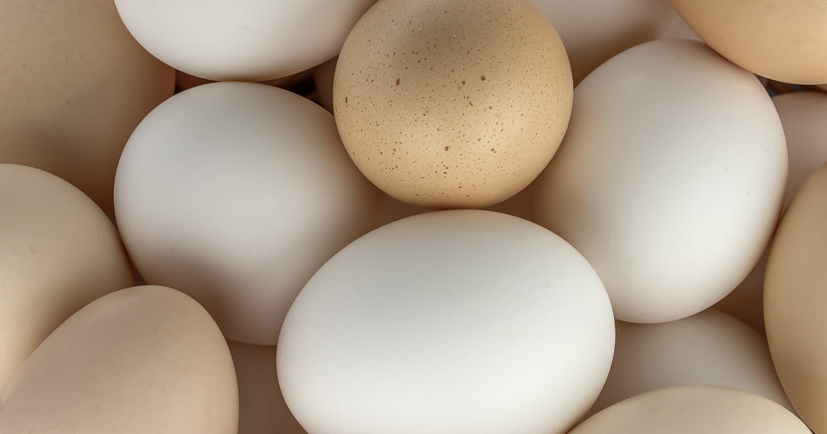 Fenylalanin: Přínosy, vedlejší účinky a zdroje potravin
