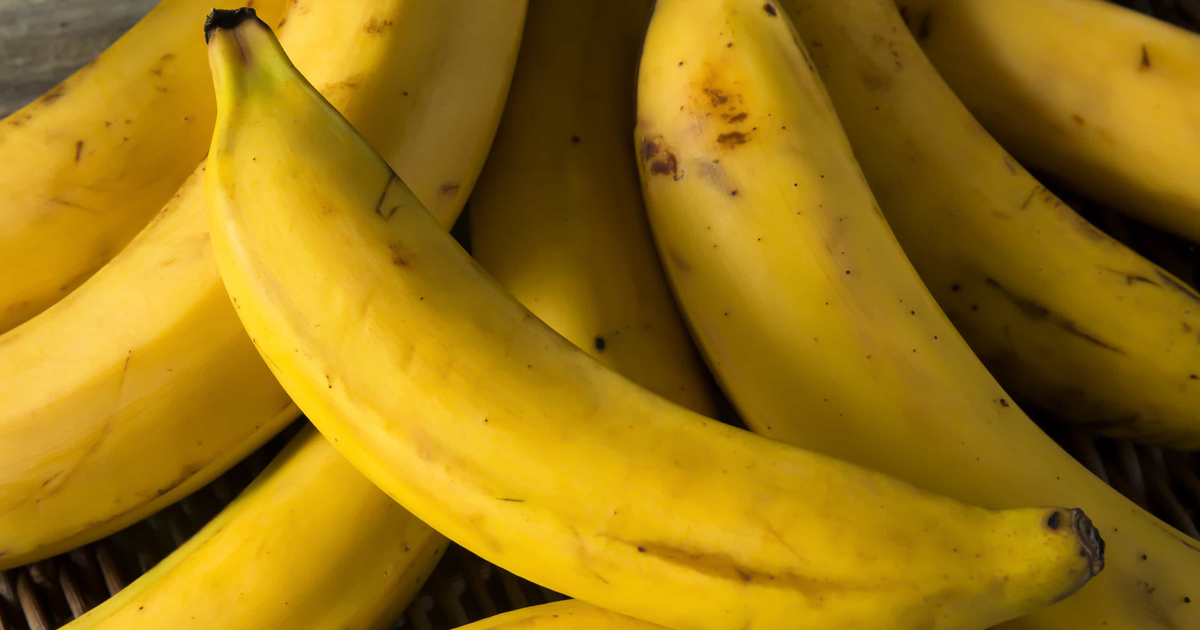 Plantain Vs Banana What s The Difference Plantain Vs Banana What s The Difference
