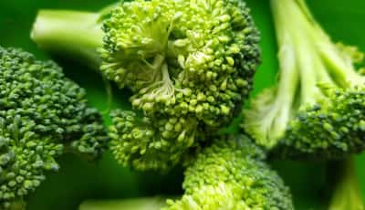 14 bevisbaserte helsemessige fordeler med brokkoli