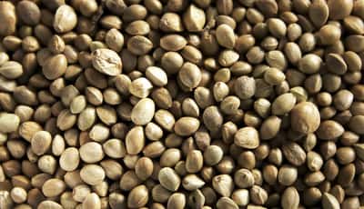 6 evidence-based health benefits of hemp seeds