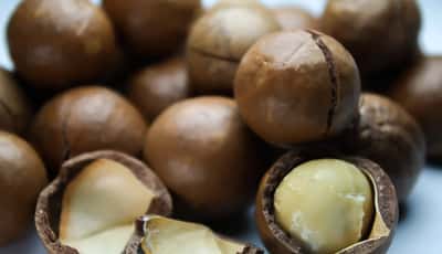 10 manfaat kesehatan dan nutrisi kacang macadamia