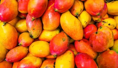 A mangó 10 lenyűgöző egészségügyi előnye