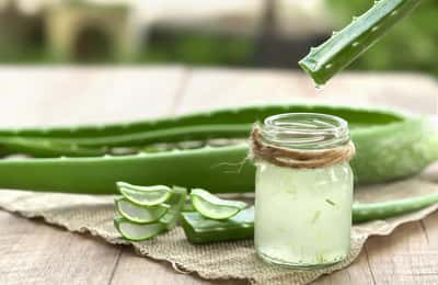 Aloe vera yiyebilir misin? Aloe vera tüketimi ve faydaları
