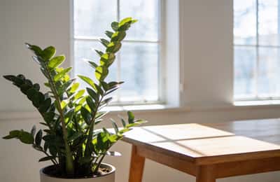 Circadian Lighting: Bright Days, Dim Nights, Better Sleep