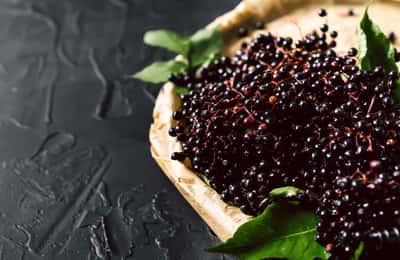 Elderberry: Οφέλη και Κίνδυνοι