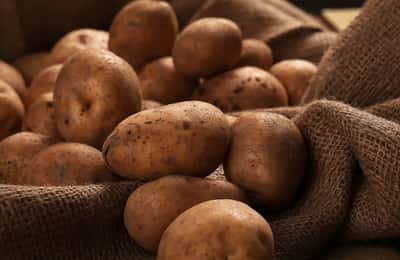 Wie lagerst du Kartoffeln am besten?