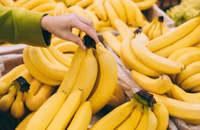 A banán bogyó vagy gyümölcs? - Botanikai tények és érdekességek