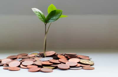 Ăn chay có đắt không? Chi phí và lựa chọn hợp lý