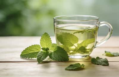 Lemon Balm Benefits: The Calming Herb for Stress and Sleep