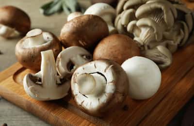 怀孕期间的蘑菇