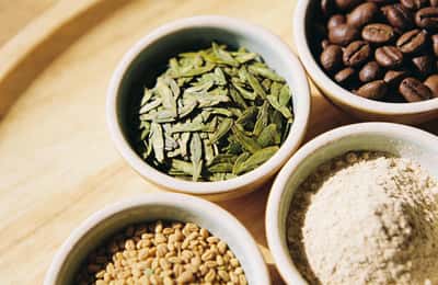 Supressores Naturais do Apetite: 10 Inibidores Naturais para Perda de Peso