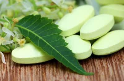 Neem: Οφέλη, Χρήσεις και Κίνδυνοι του Φυτού Neem