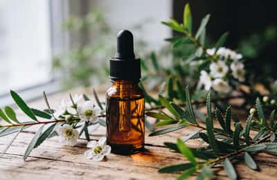 ティーツリーオイル：肌・髪・爪に効果的な14の使い方