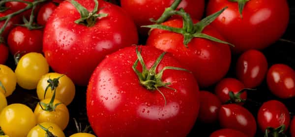 Are tomatoes keto-friendly?